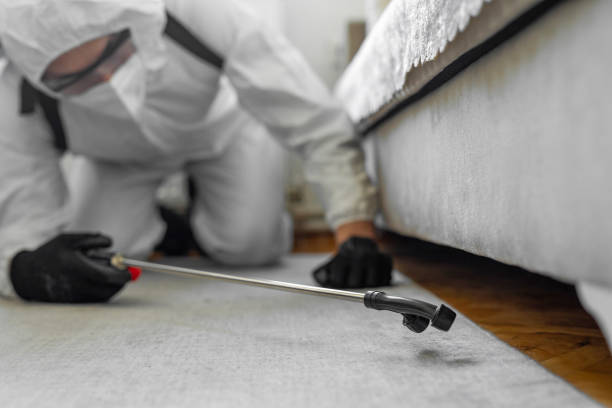Professional Mosquito Control technician working in Nesconset, NY