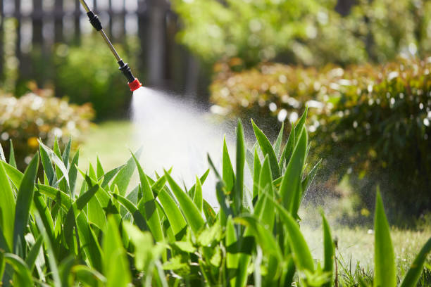 24/7 Emergency Mosquito Control experts in Nesconset, NY