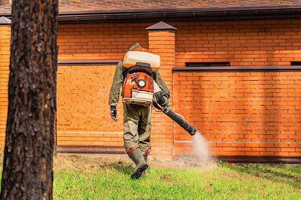 Trusted Mosquito Control service in Nesconset, NY - Nex Pest Control